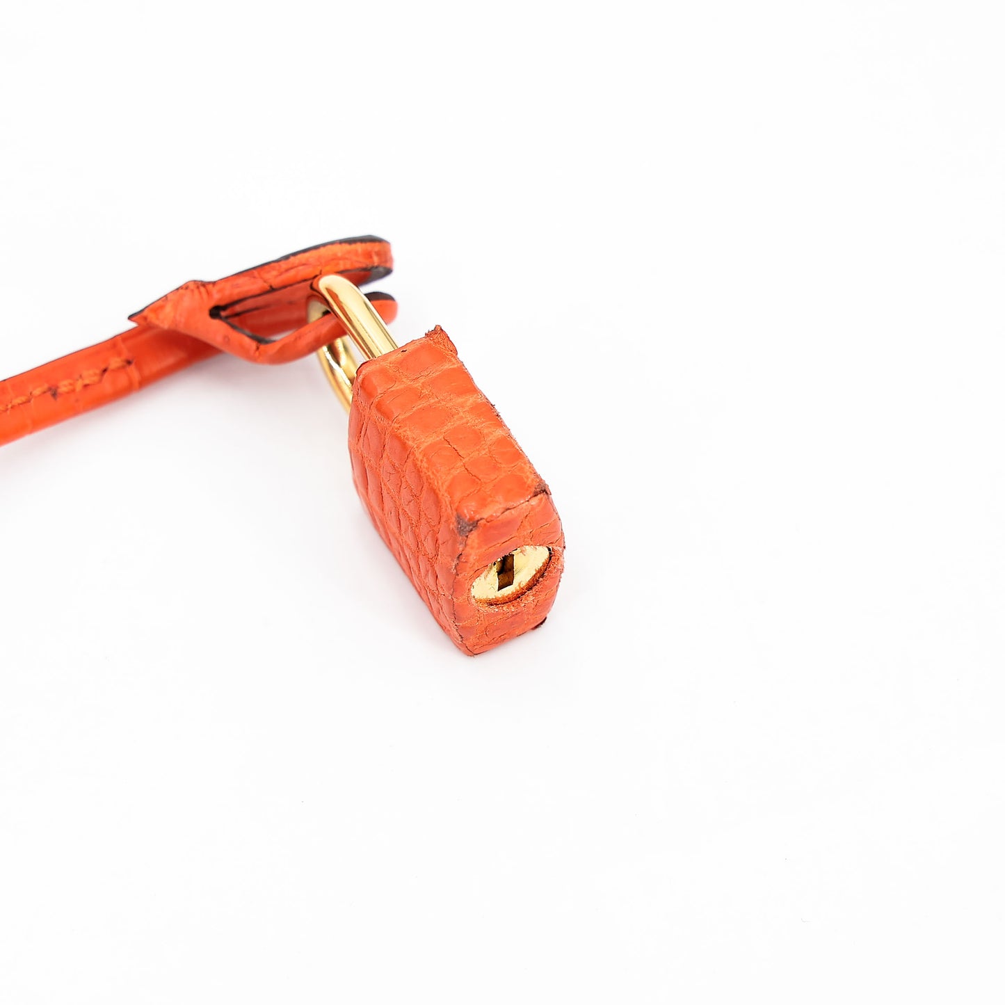 愛馬仕 Kelly 25 Feu Matte Alligator 