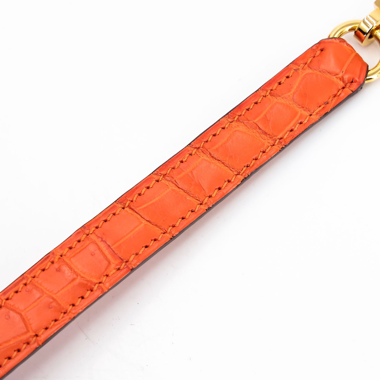 愛馬仕 Kelly 25 Feu Matte Alligator 