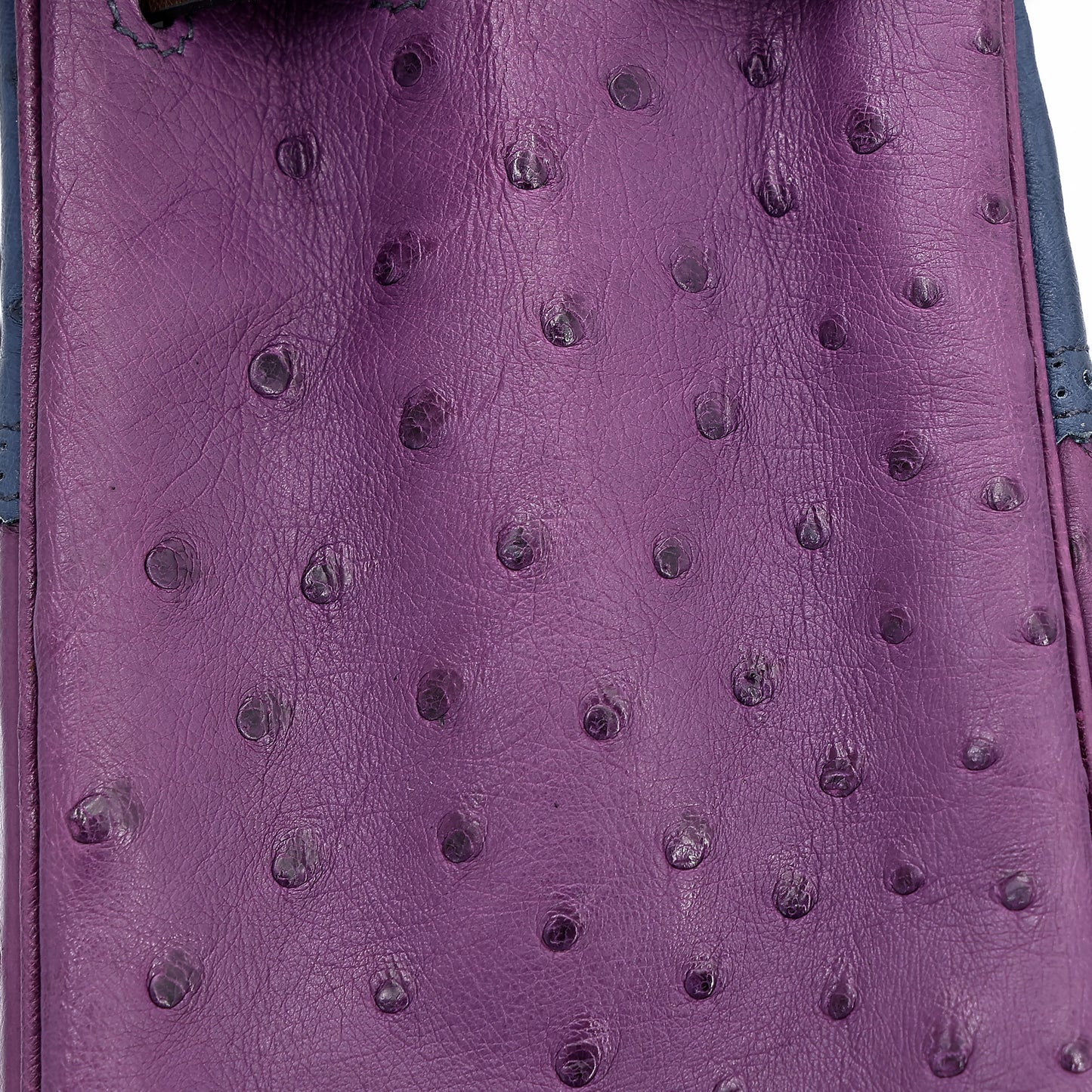 愛馬仕 Kelly Ghillies 32 Marron Fonce Bleu de Malte 紫羅蘭色鴕鳥皮