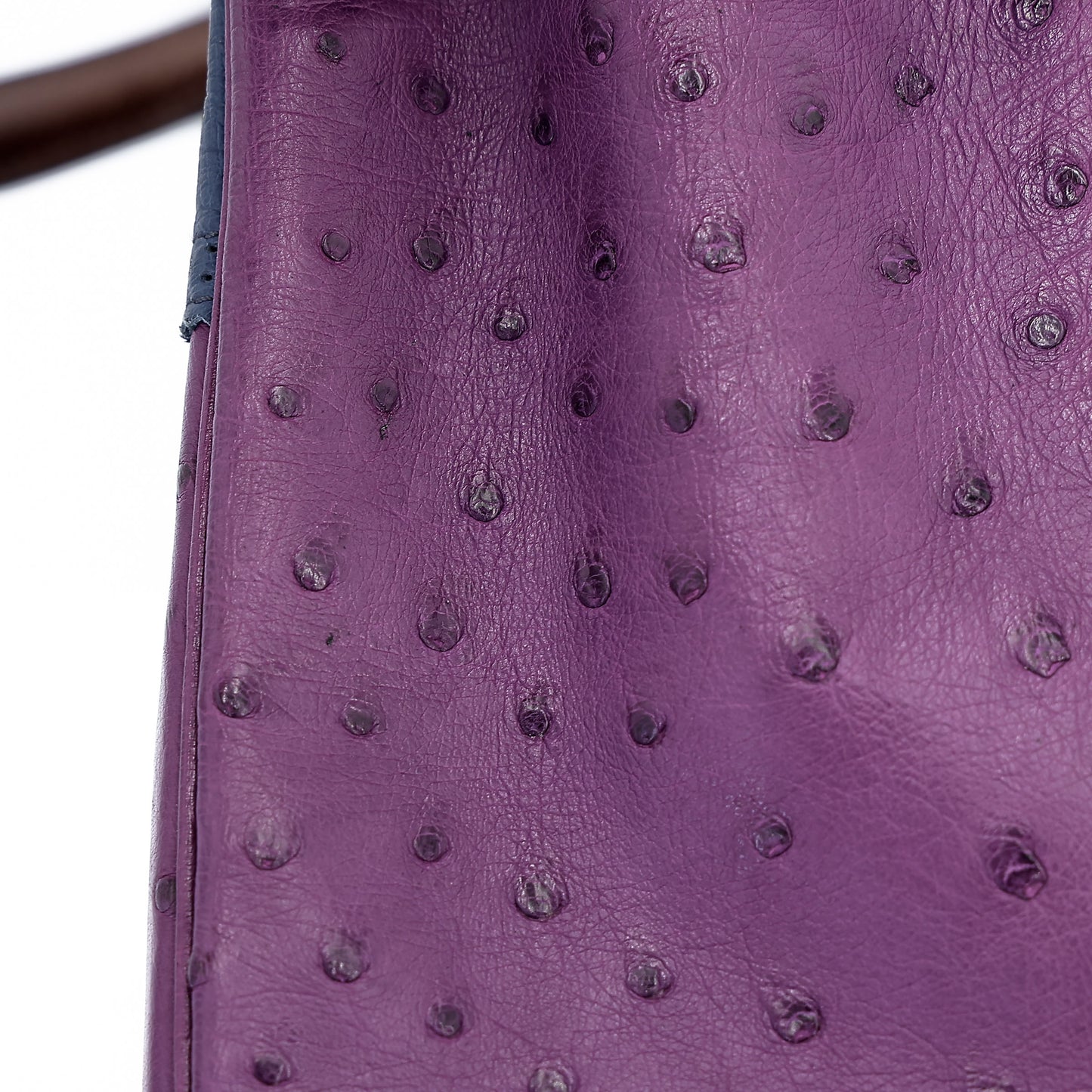 愛馬仕 Kelly Ghillies 32 Marron Fonce Bleu de Malte 紫羅蘭色鴕鳥皮