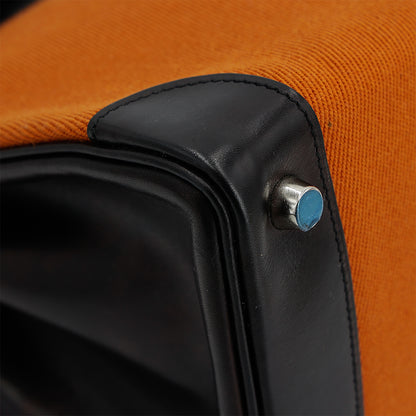 愛馬仕 Birkin 30 Potamus 