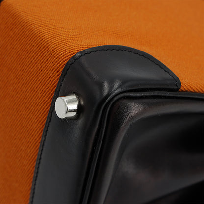 愛馬仕 Birkin 30 Potamus 